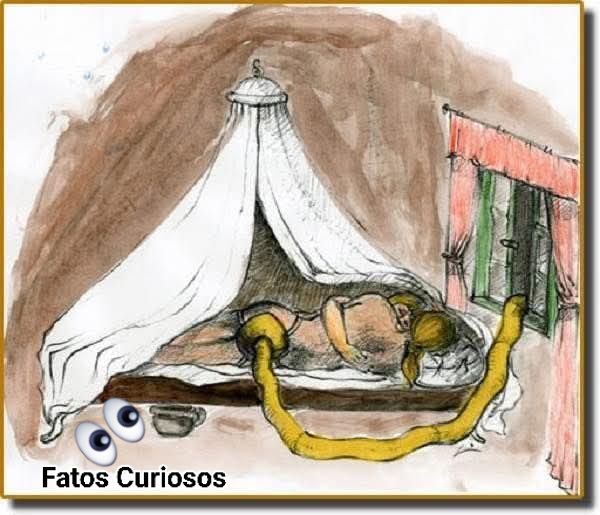 FATOS - A vanvera era um objeto peculiar que gozou de grande ...