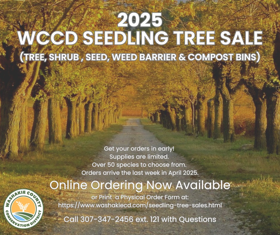 Washakie County Conservation District - The 2025 Seedling Tree Sale is ...