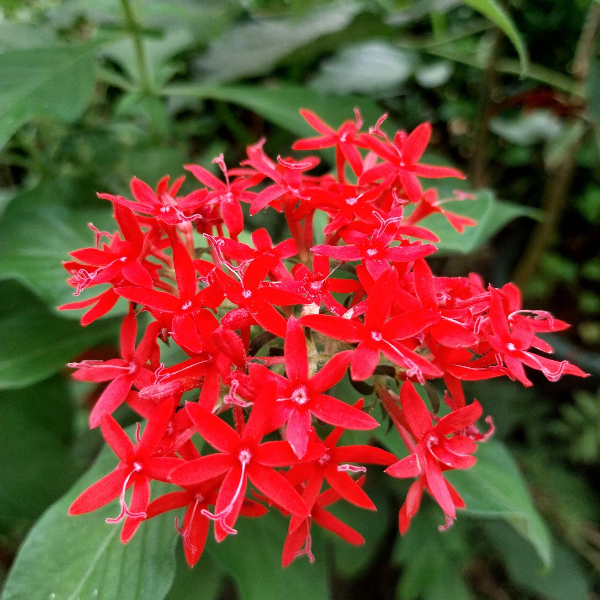 Lina Badilla Rabuya
