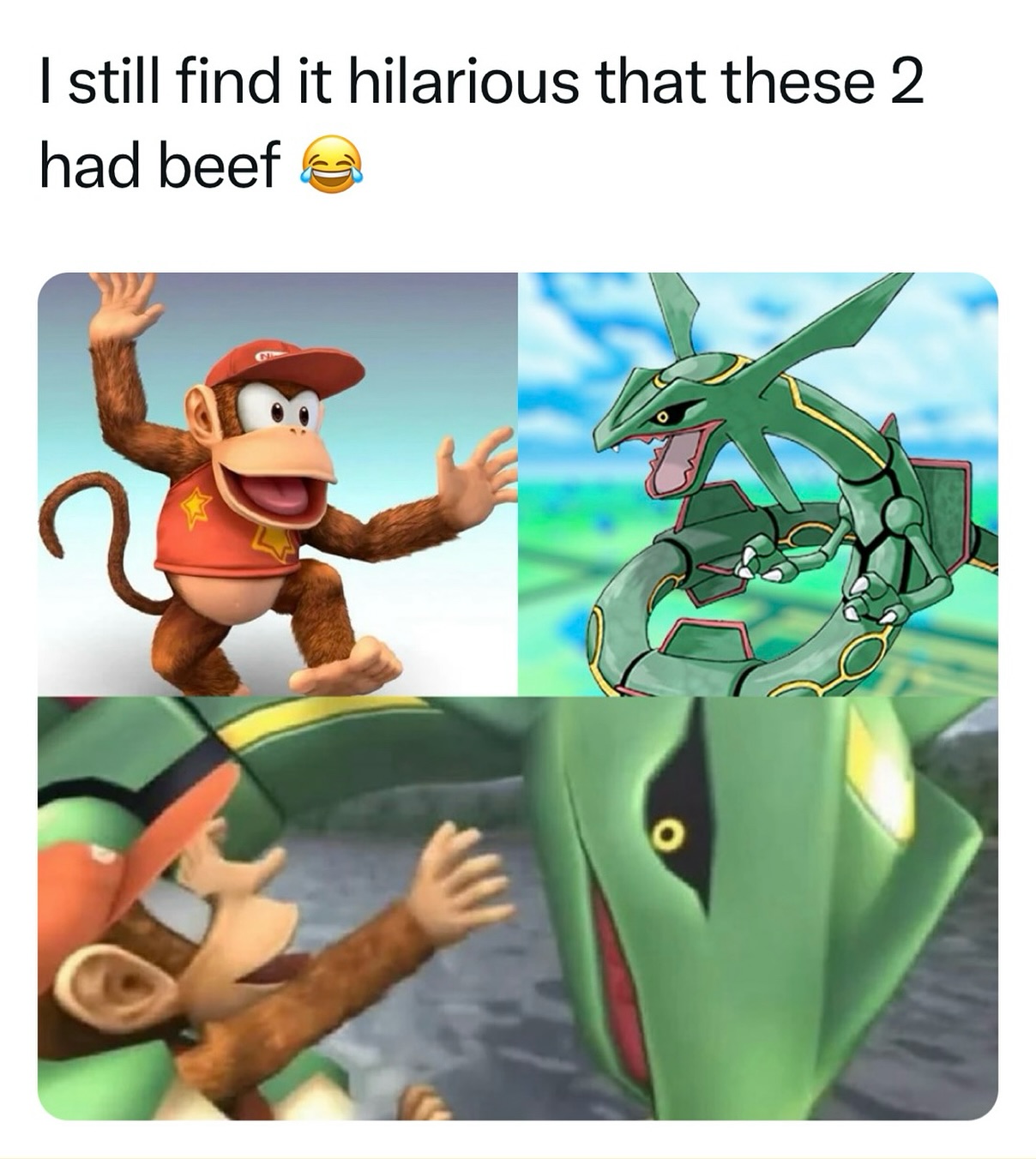 Fug Rayquaza Memes 454x567