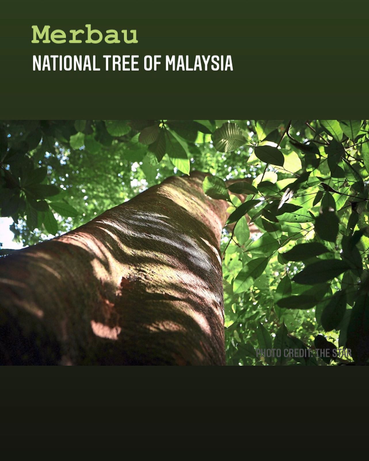 FSC Malaysia - 🇲🇾Happy Independence Day! 🇲🇾Selamat... | Facebook