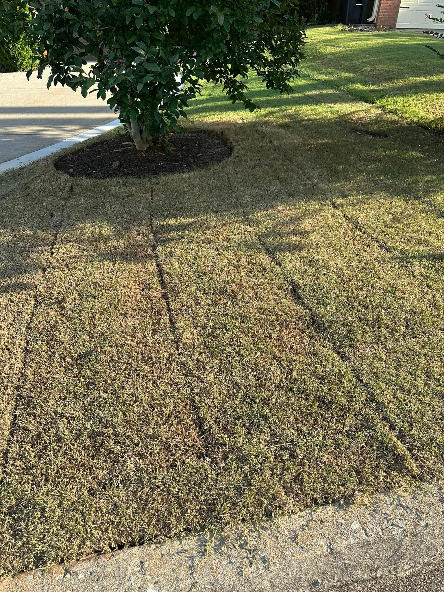 Integrity First Turf Care | Dallas GA