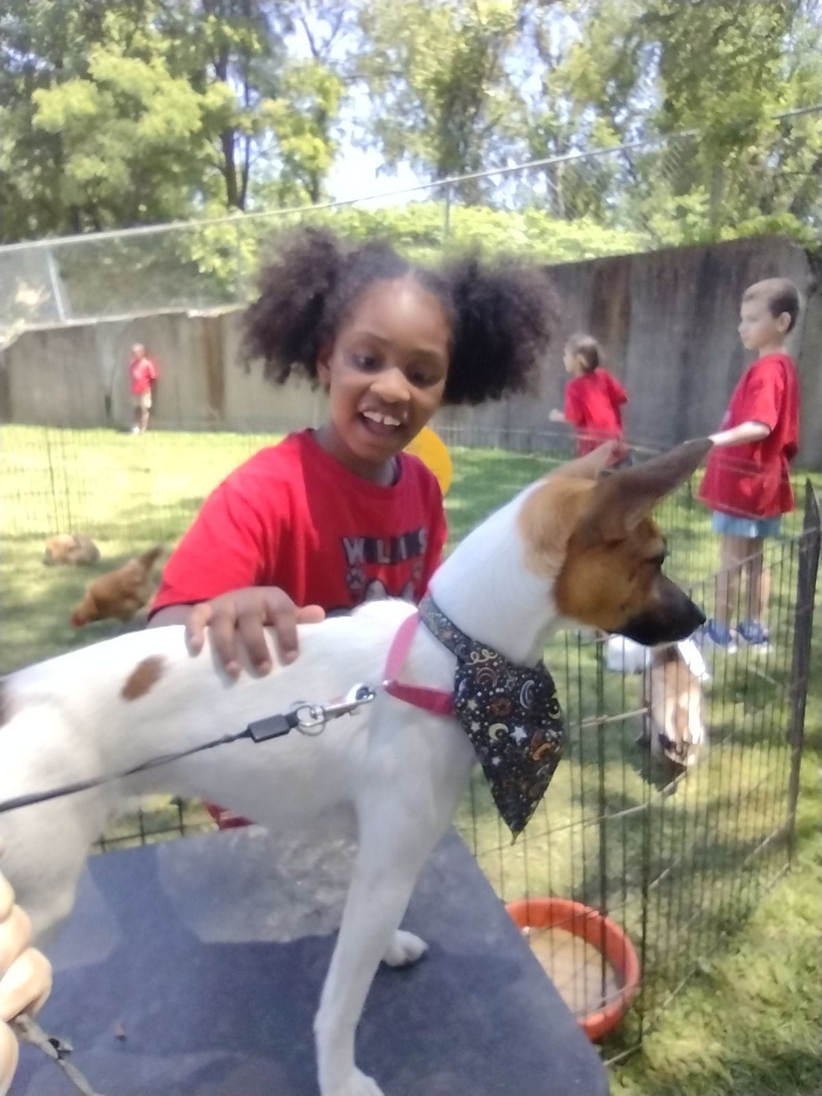 Pony Time Ranch and Mobile Petting Zoo | Lowellville OH