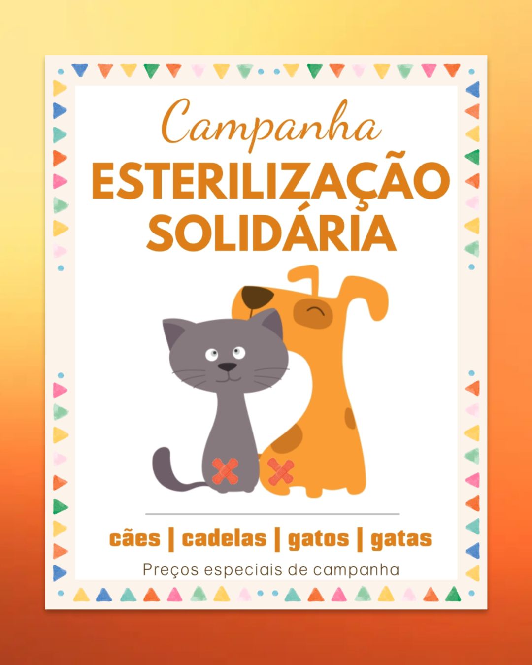 campanha-esteriliza-o-de-animais-abandonados-os-gatos-da-assembleia