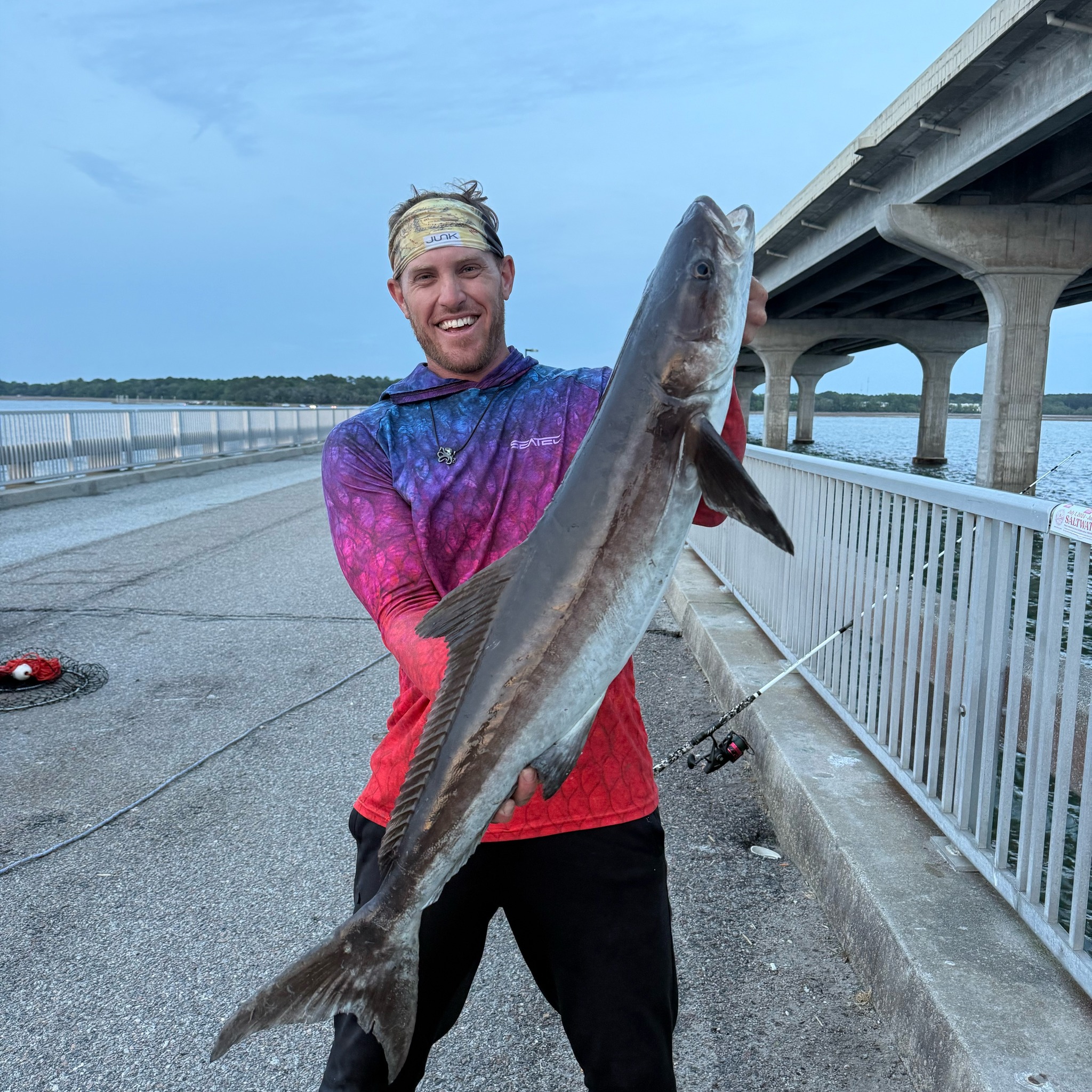 Diving in the water and catching fish on their turf might be the most ...