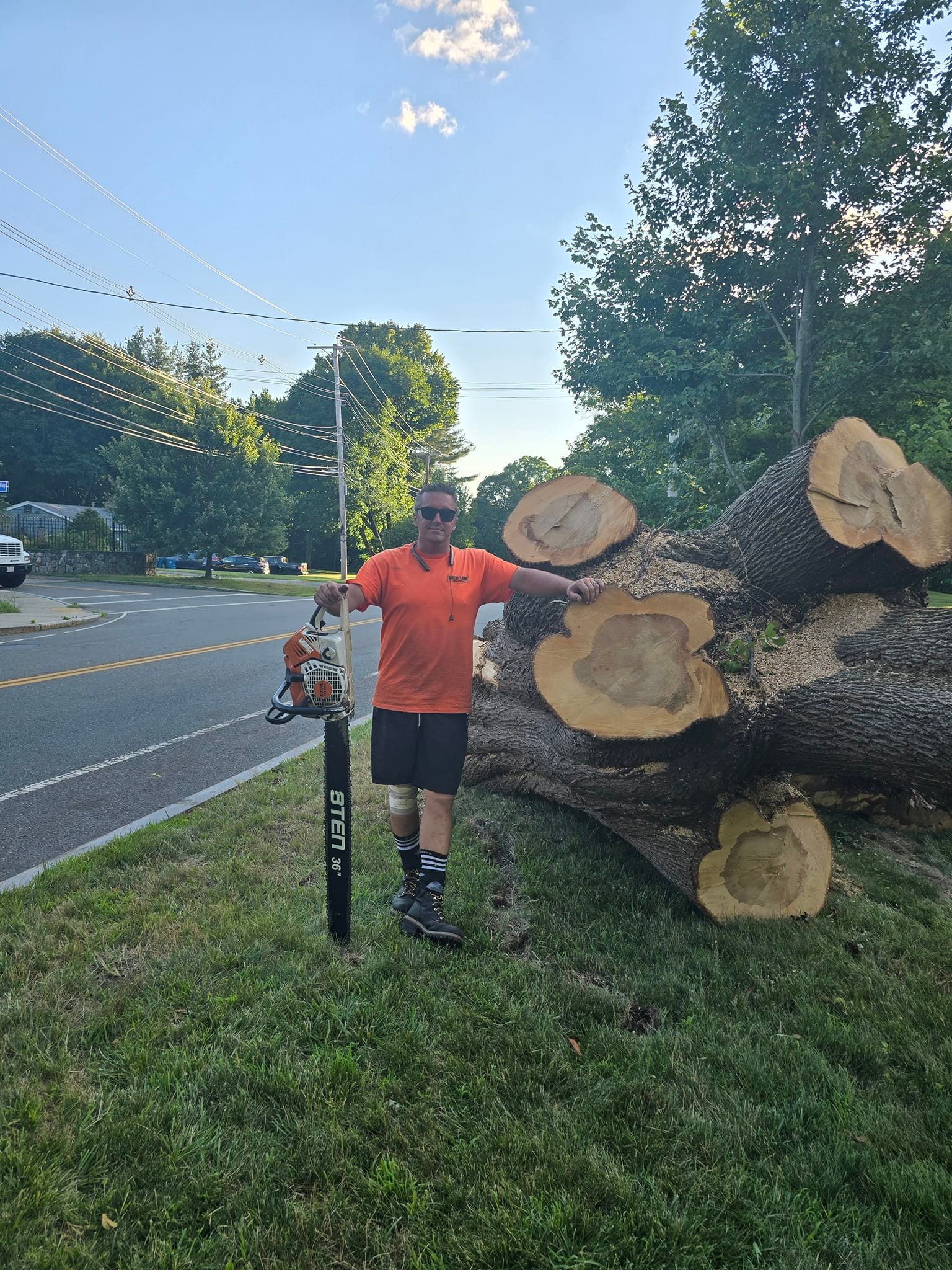 High Line Tree Service Massachusetts