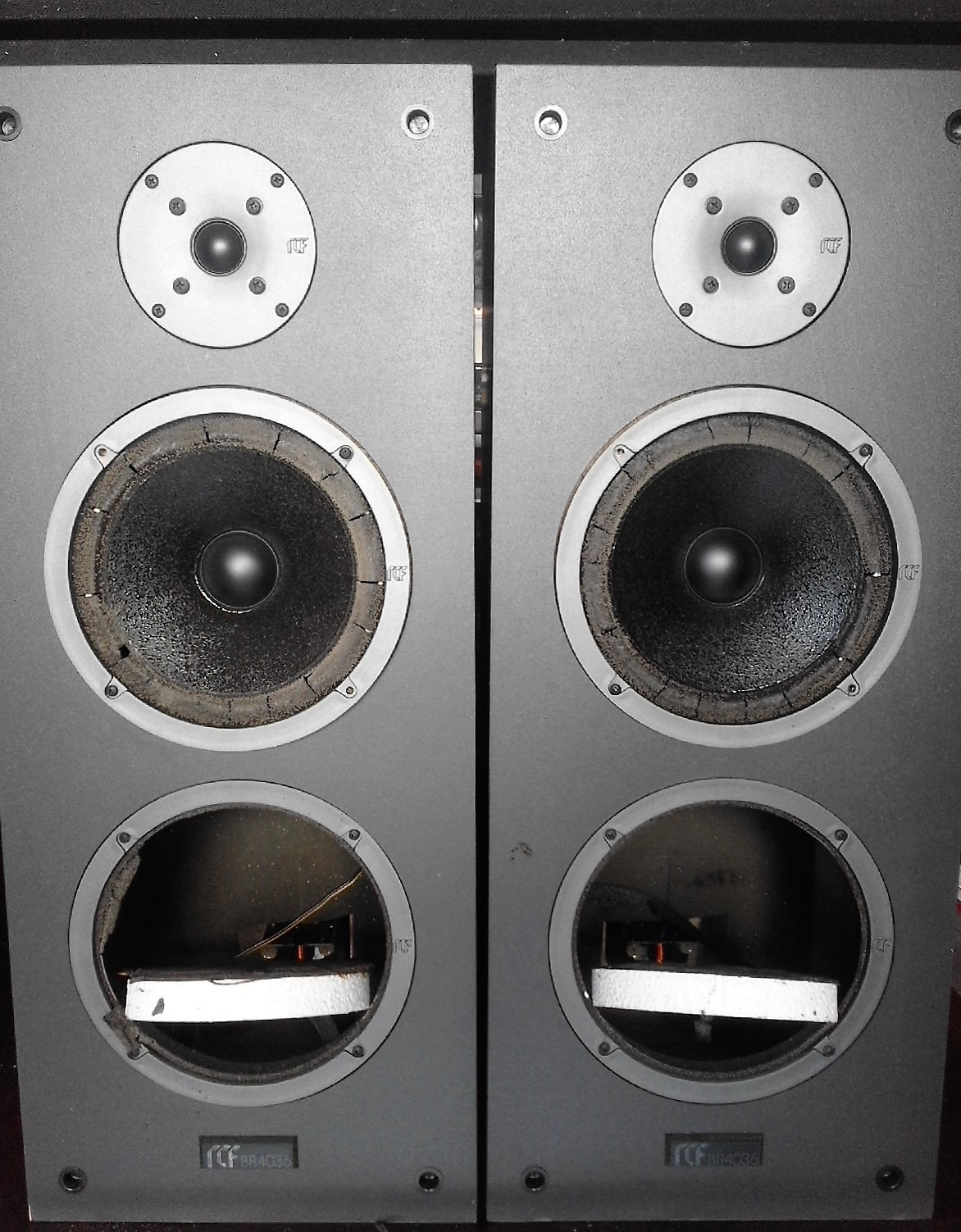 Riconatura degli altoparlanti: La Guida completa - Blog RG Sound