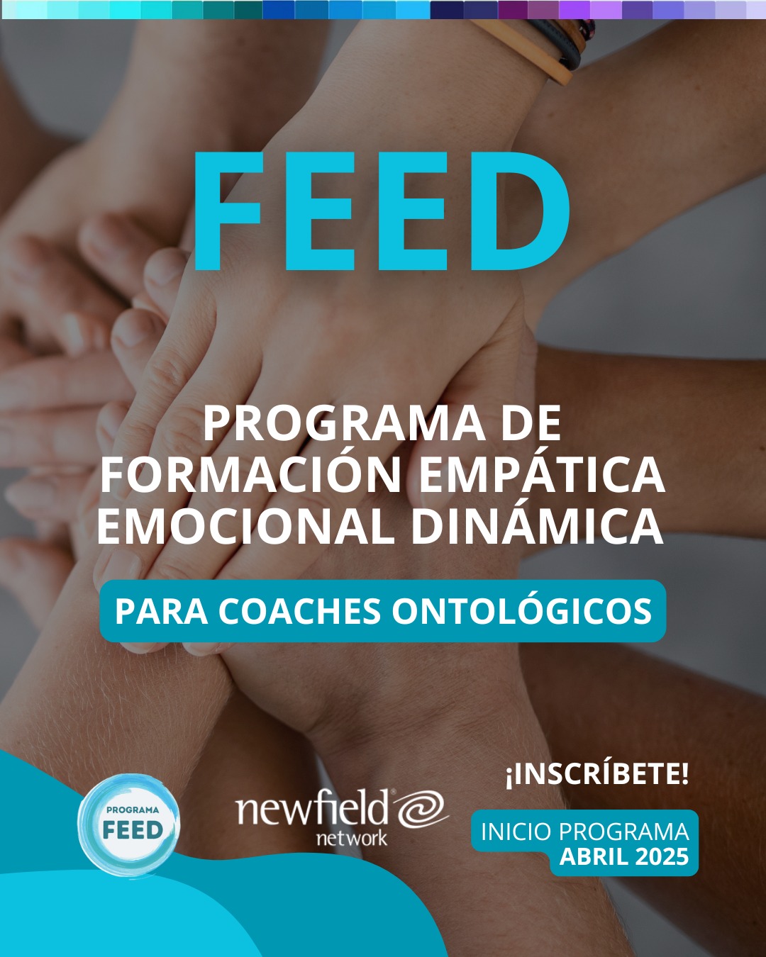 newfield-lo-traemos-para-ti-conoce-el-programa-feed-con-su