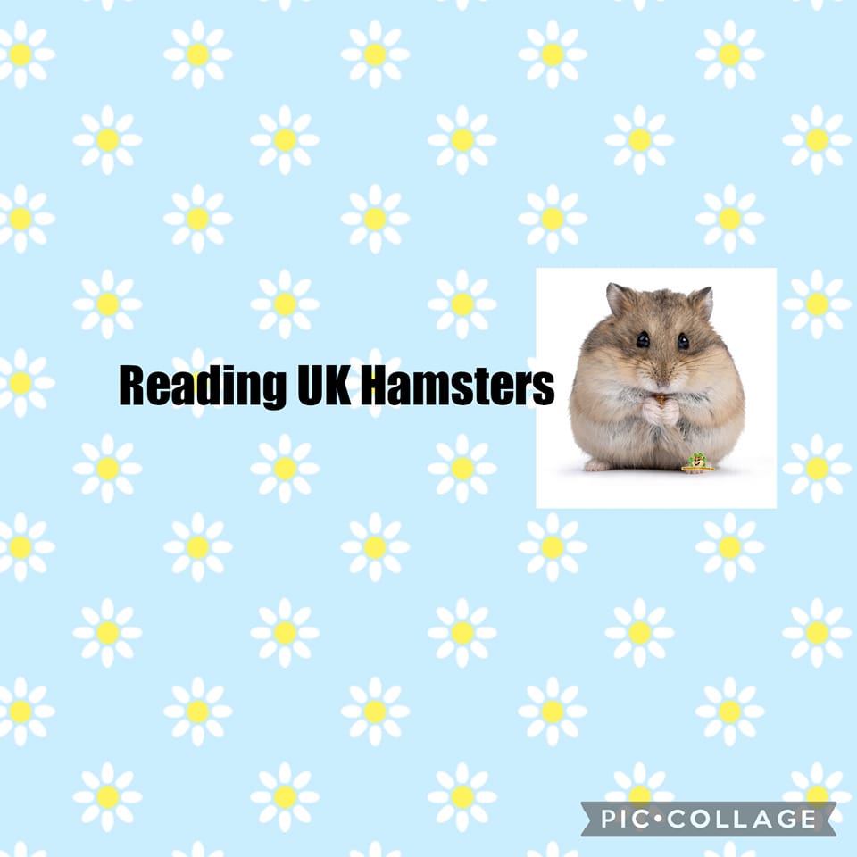Reading Hamsters support and advice | Facebook - Hamster Owners Support Group Online For Beginners