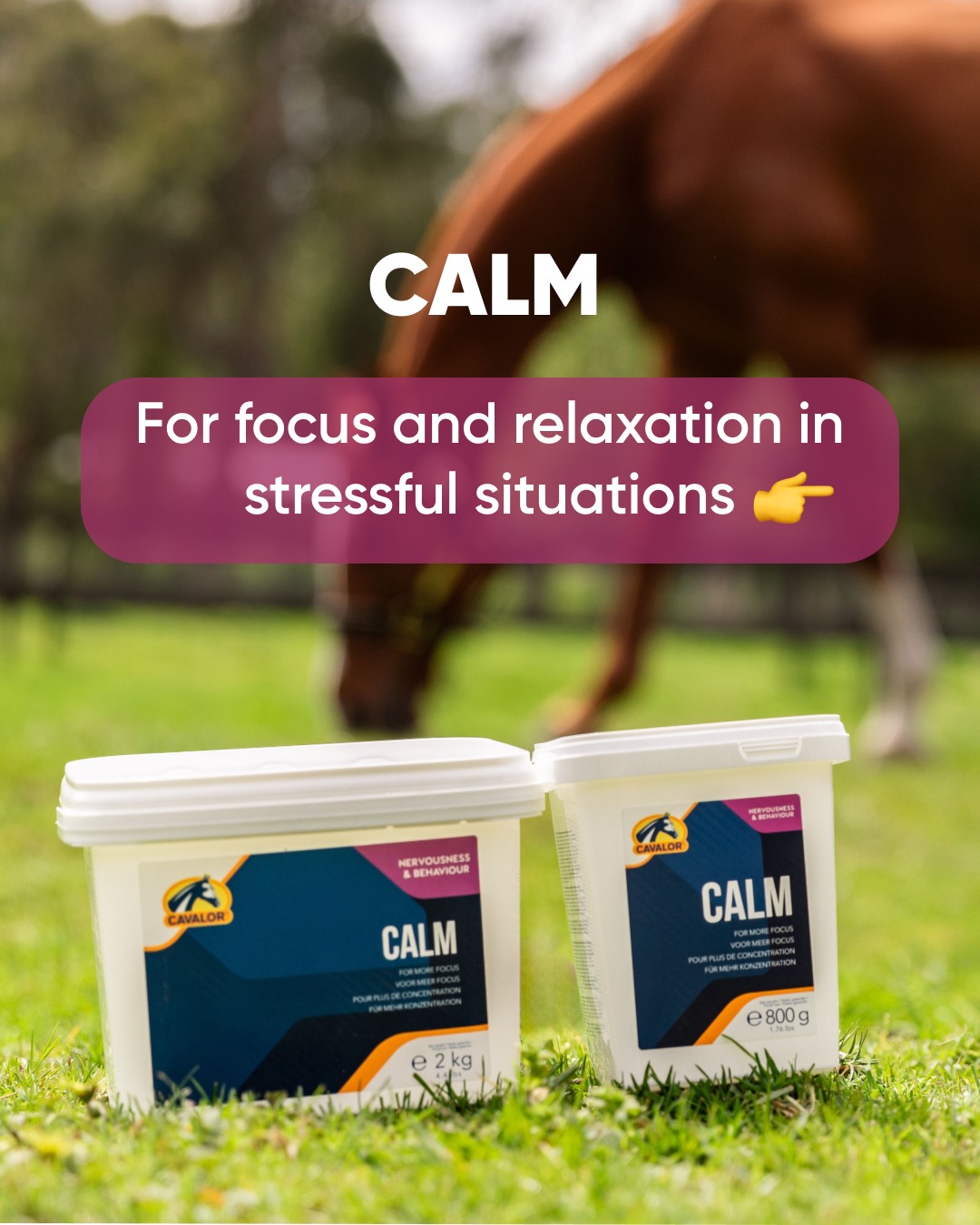 Cavalor Calm - 800 G Shock Complément Cavalor Calm | Emotions