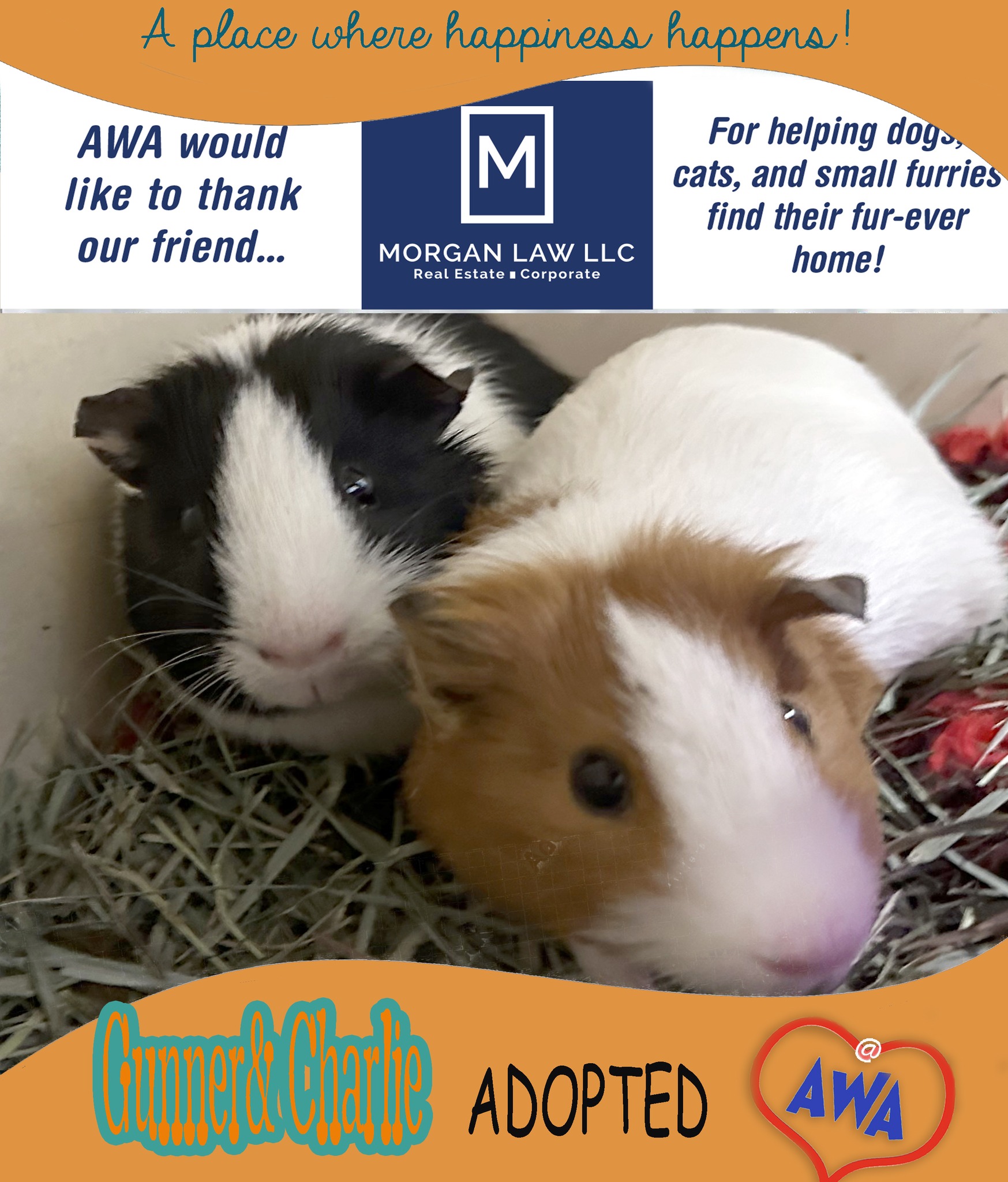 Animal Welfare Association... - Animal Welfare Association