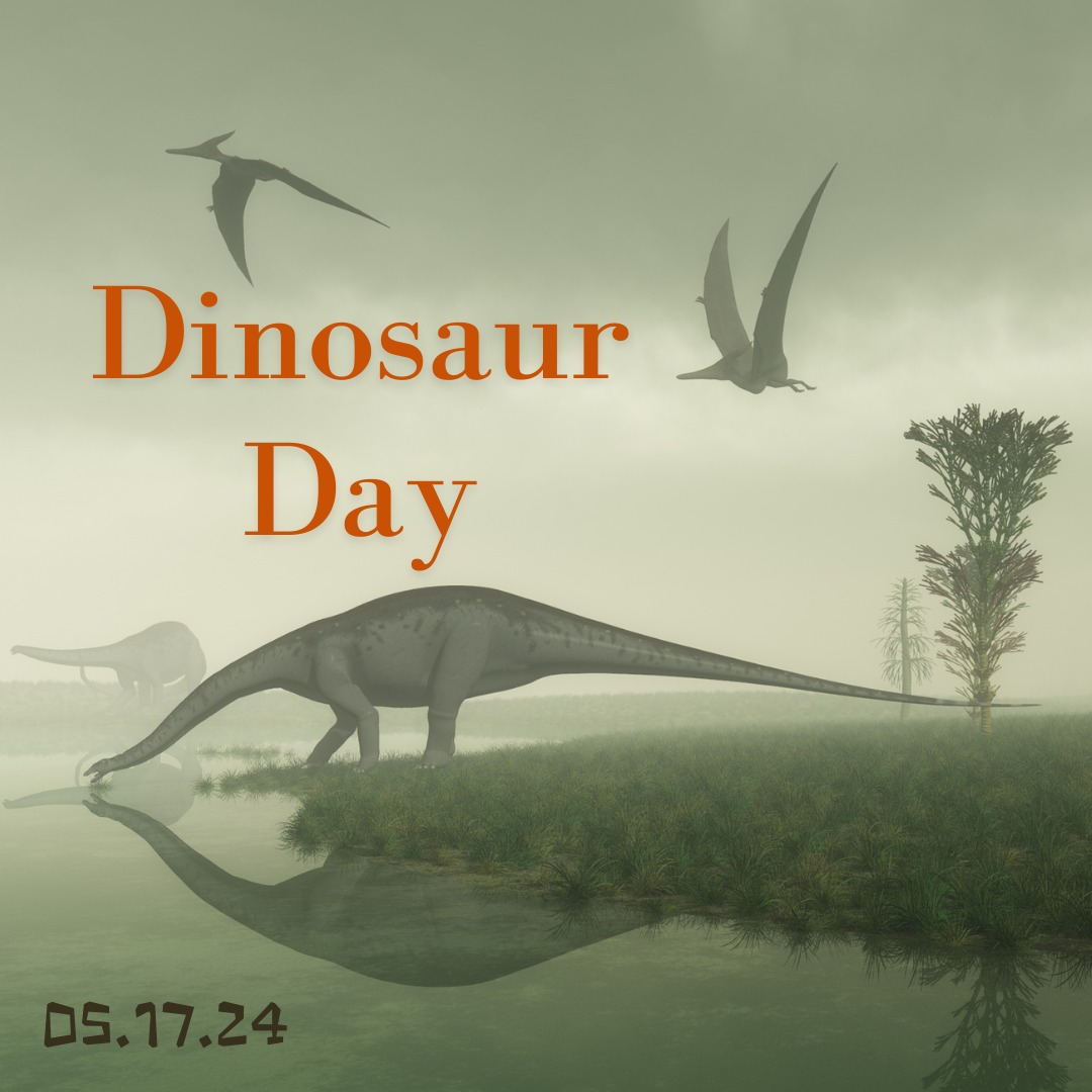 🦖20200211 Happy Dino's Day🦖 #Happy_Dino_Day 🎂 #디노 #Dino