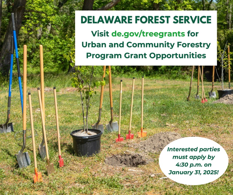Rep. - There is still time to apply for a Delaware Forest Service Urban ...