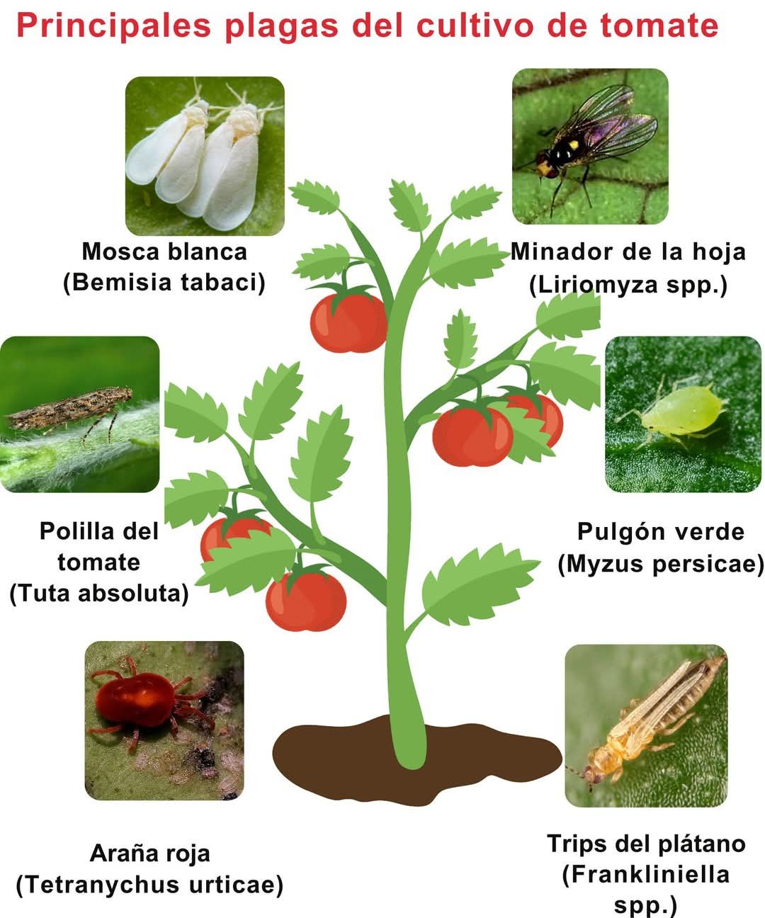 MAX AGRO | Facebook