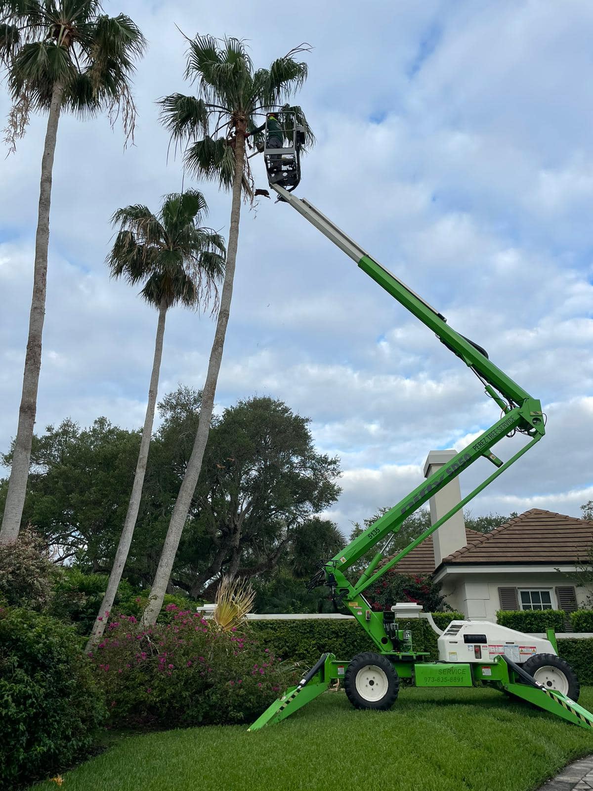 Perez Tree service LLC | Vero Beach FL