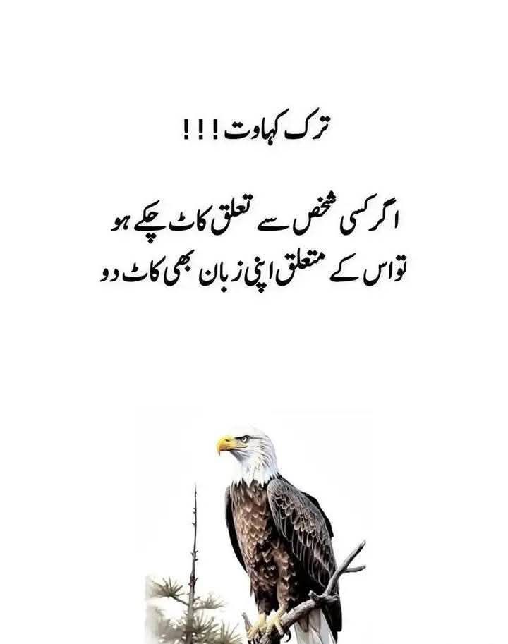 Irfan Riaz