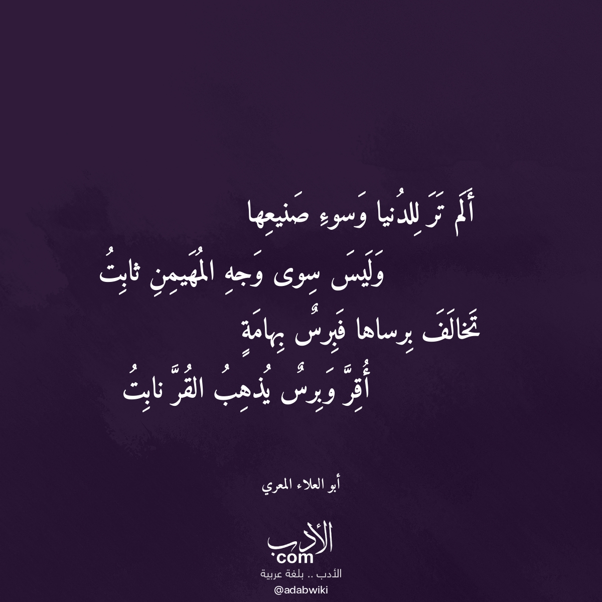 أبو - قصيدة ألم تر للدنيا وسوء صنيعها لـ #أبو_العلاء_المعري https ...
