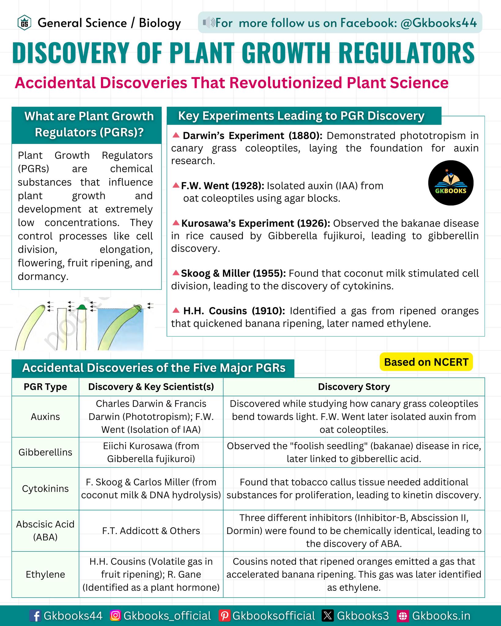 Gkbooks - 💡 Did You Know? The discovery of Plant Growth Regulators ...