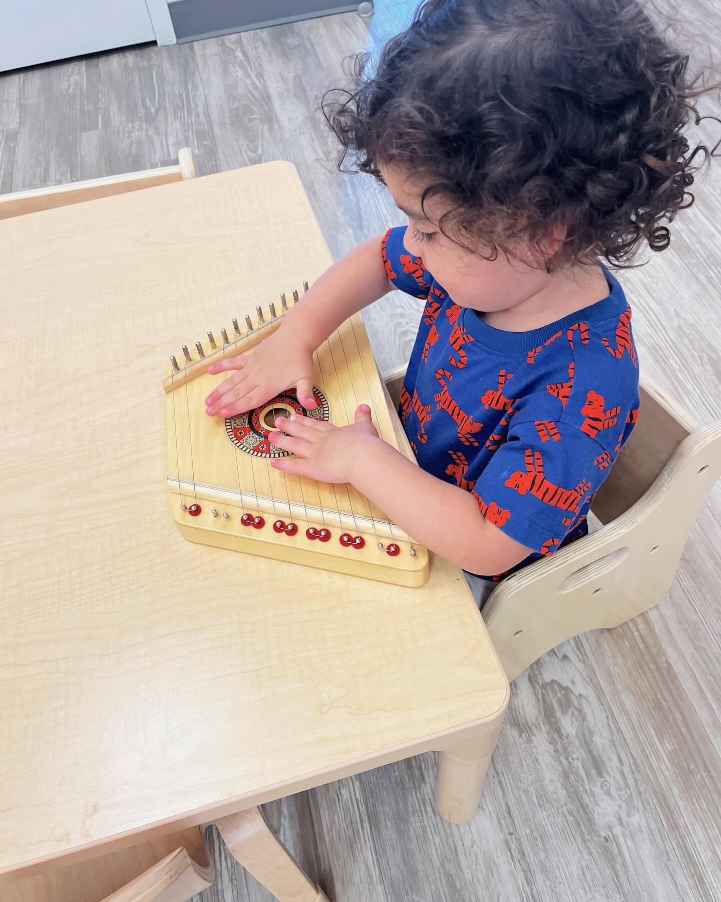 Quality Interactive Montessori | Cave Creek AZ