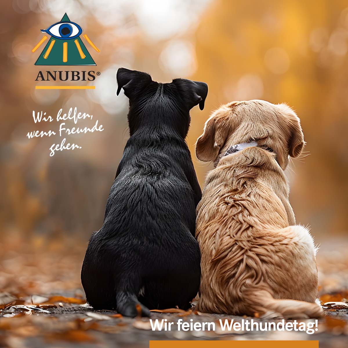 Anubis Tierbestattungen Rhein-Main – Anubis Mannheim – QITL