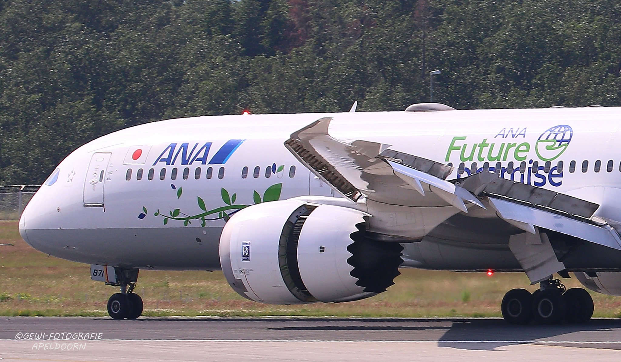 🇯🇵ANA (Future Promise livery) ✈️Boeing 787-9 🔢JA871A