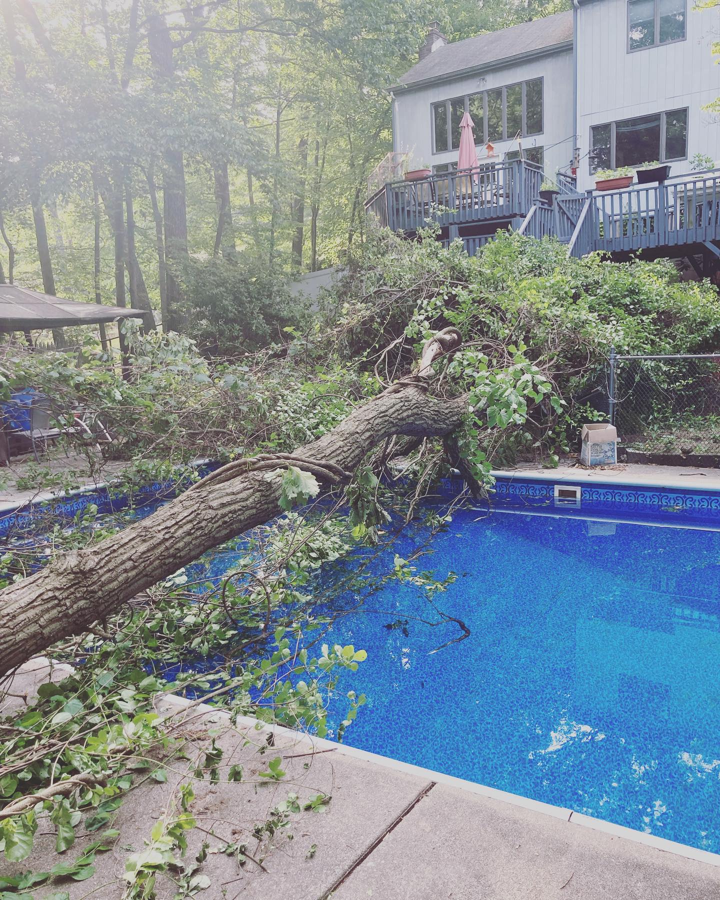 Tree Ninja | Wanaque NJ
