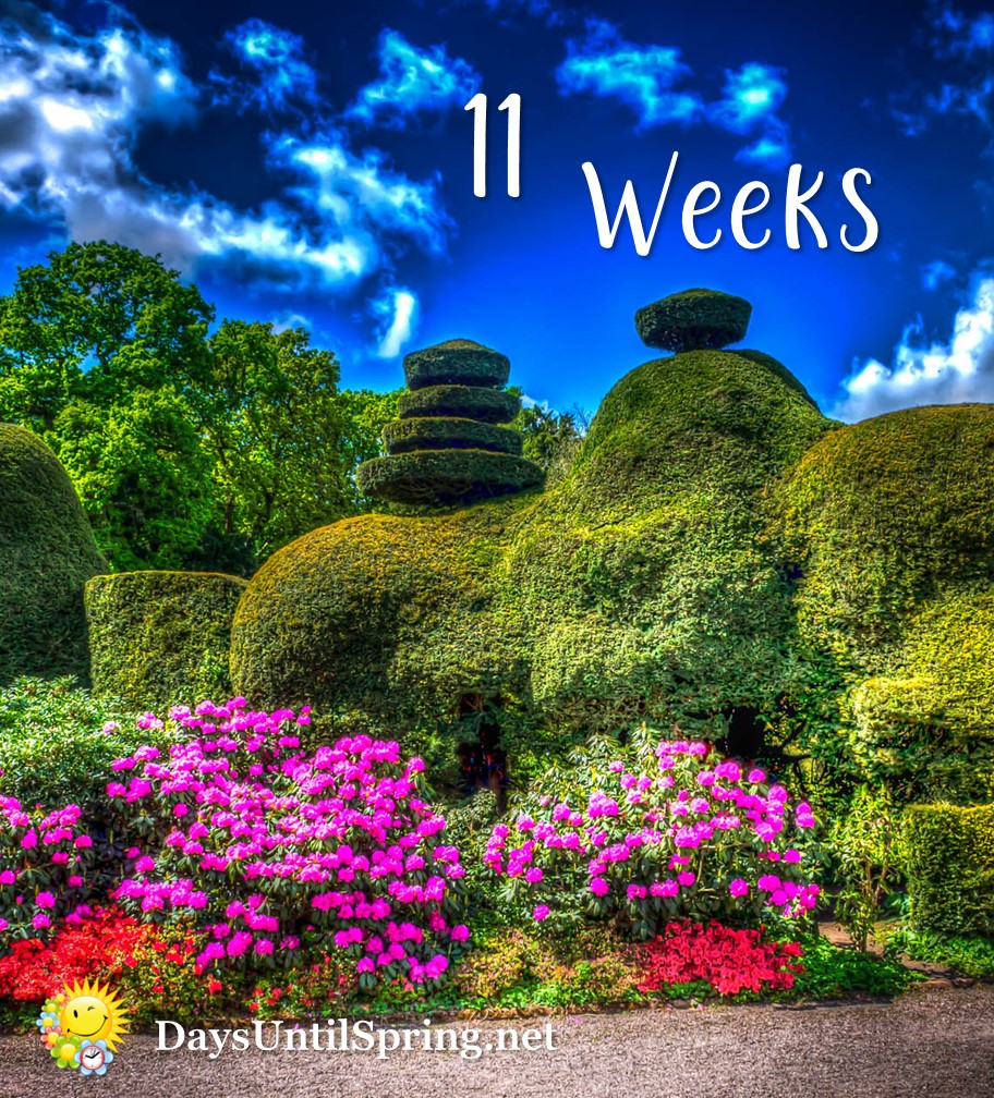 The Countdown to Spring 💛🌈🌷 🌈 👉... - Spring Countdown