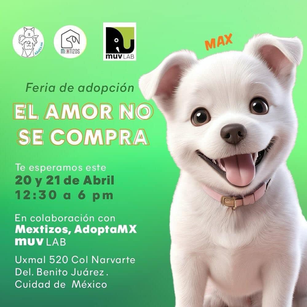 Muv Lab | Mexico City