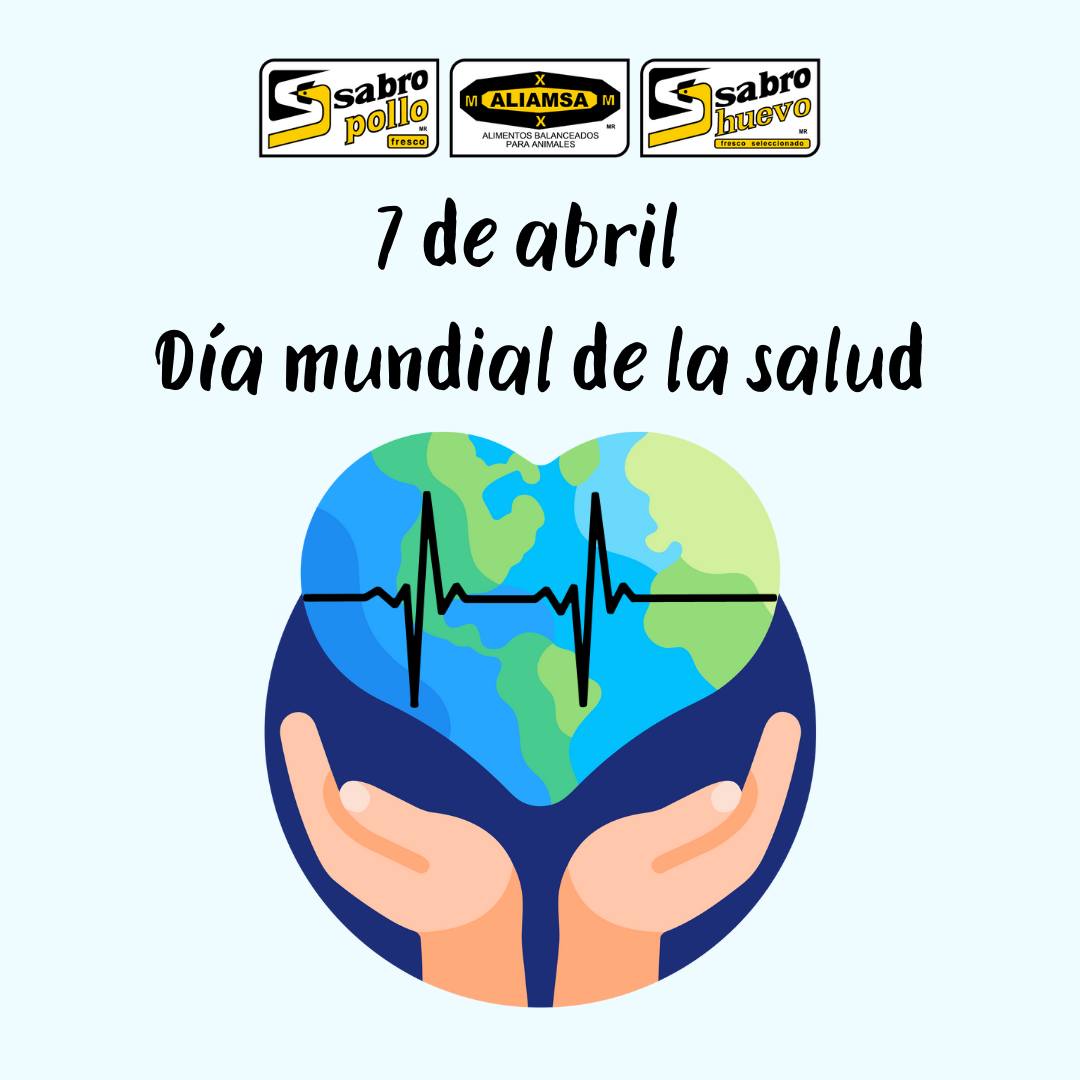 Bolsa - El Día Mundial de la Salud se celebra todos los años el 7 de ...
