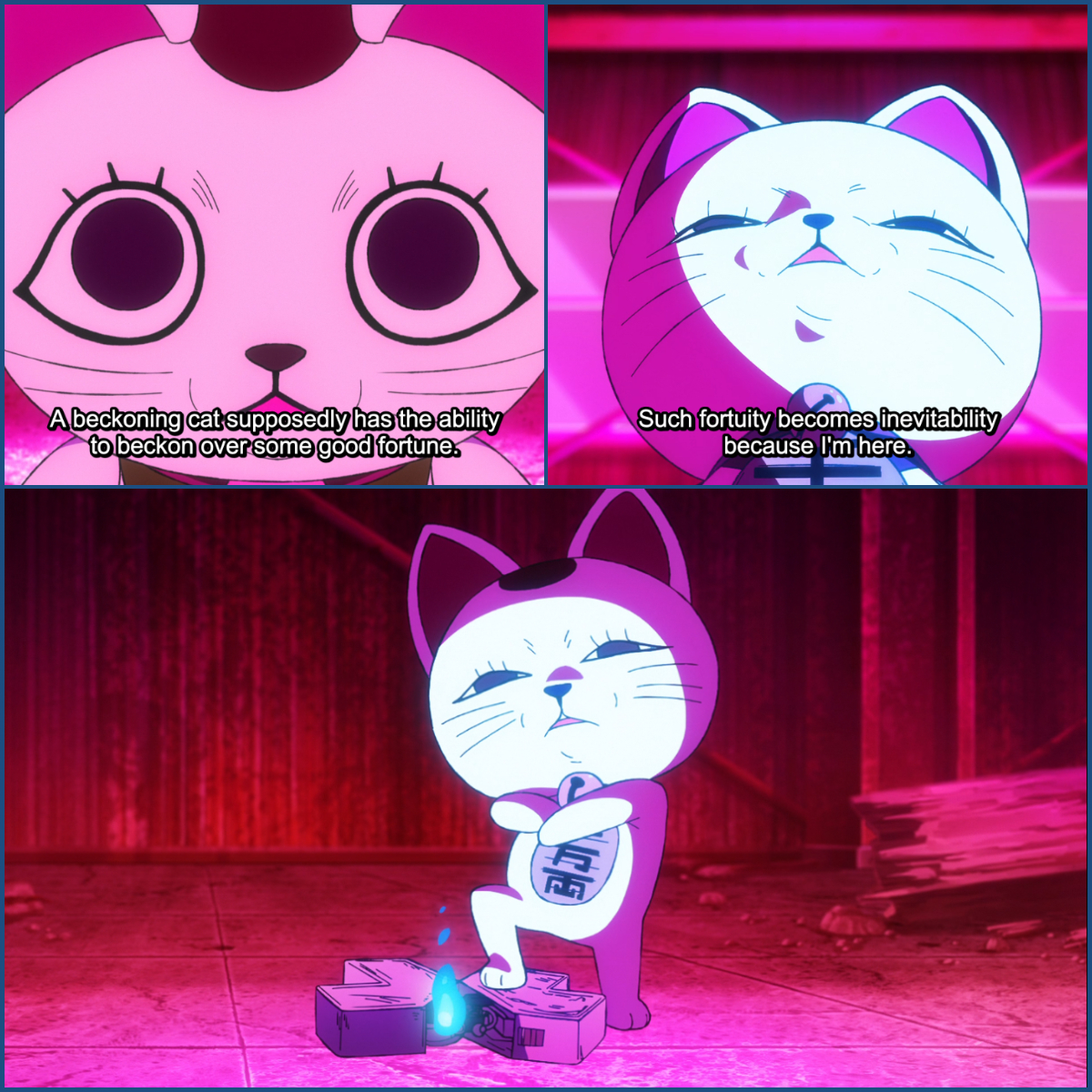 Lucky Cat MEWseum - So sad to learn of the passing of Miss Tardar 