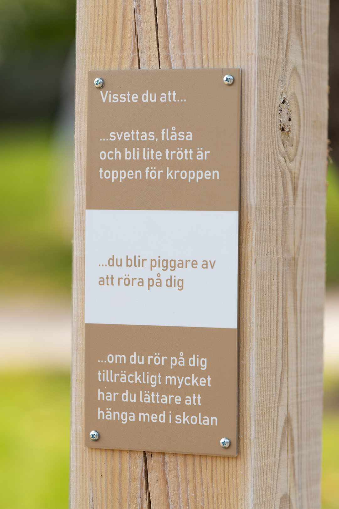 Generation - Varje Pep Park behöver innehålla kunskapselement för att ...