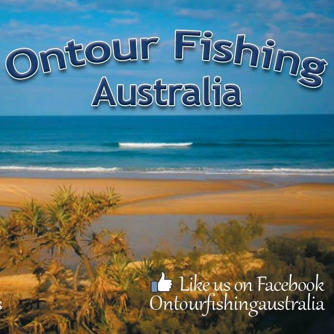 Probably the most versatile bait for the beach and estuary flats, the ...