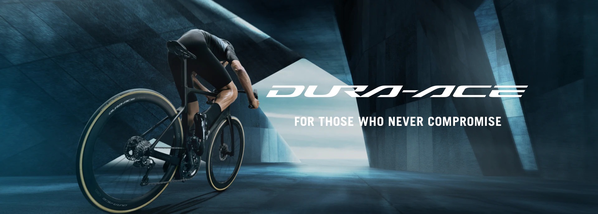 Polygon Bikes Argentina - Te presentamos la renovada Polygon Xtrada 7 ...