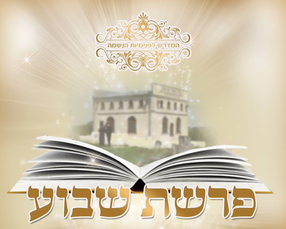ניצחתי - פרשת תזריע באור הצדיקים בפרשת תזריע מופיעים שני נושאים: דין ...
