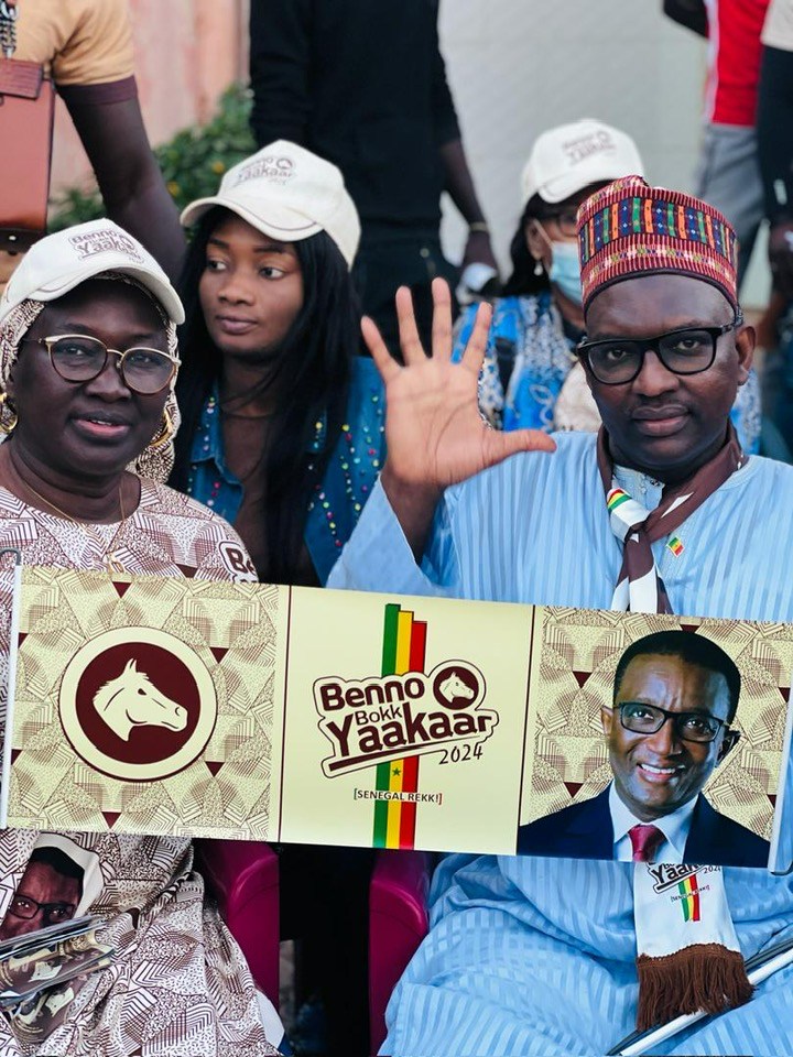 Amadou Cheikh LY