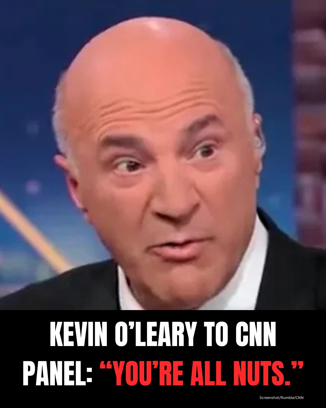 American - 🚨Kevin O'leary from Shark Tank told a whole CNN panel that ...