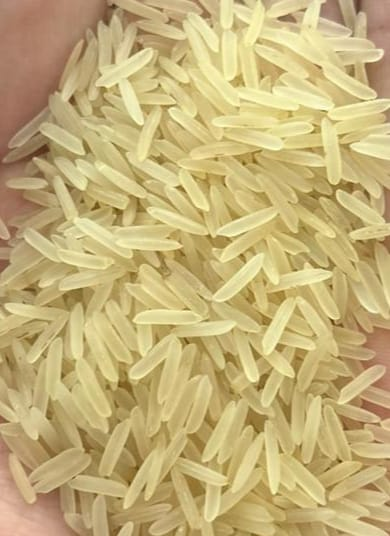 Pakistan Rice Traders | Islamabad