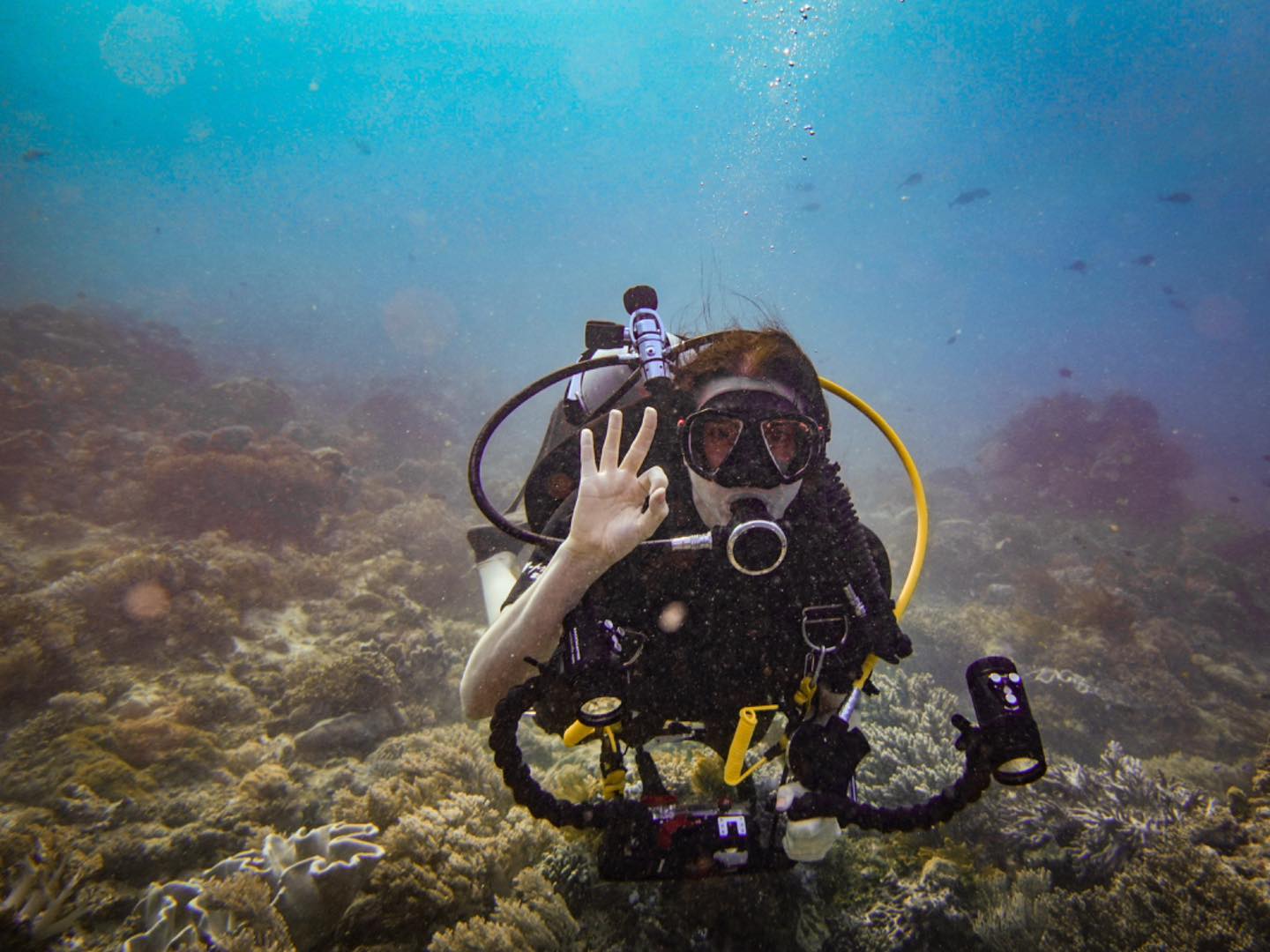 Rote Dive Adventures