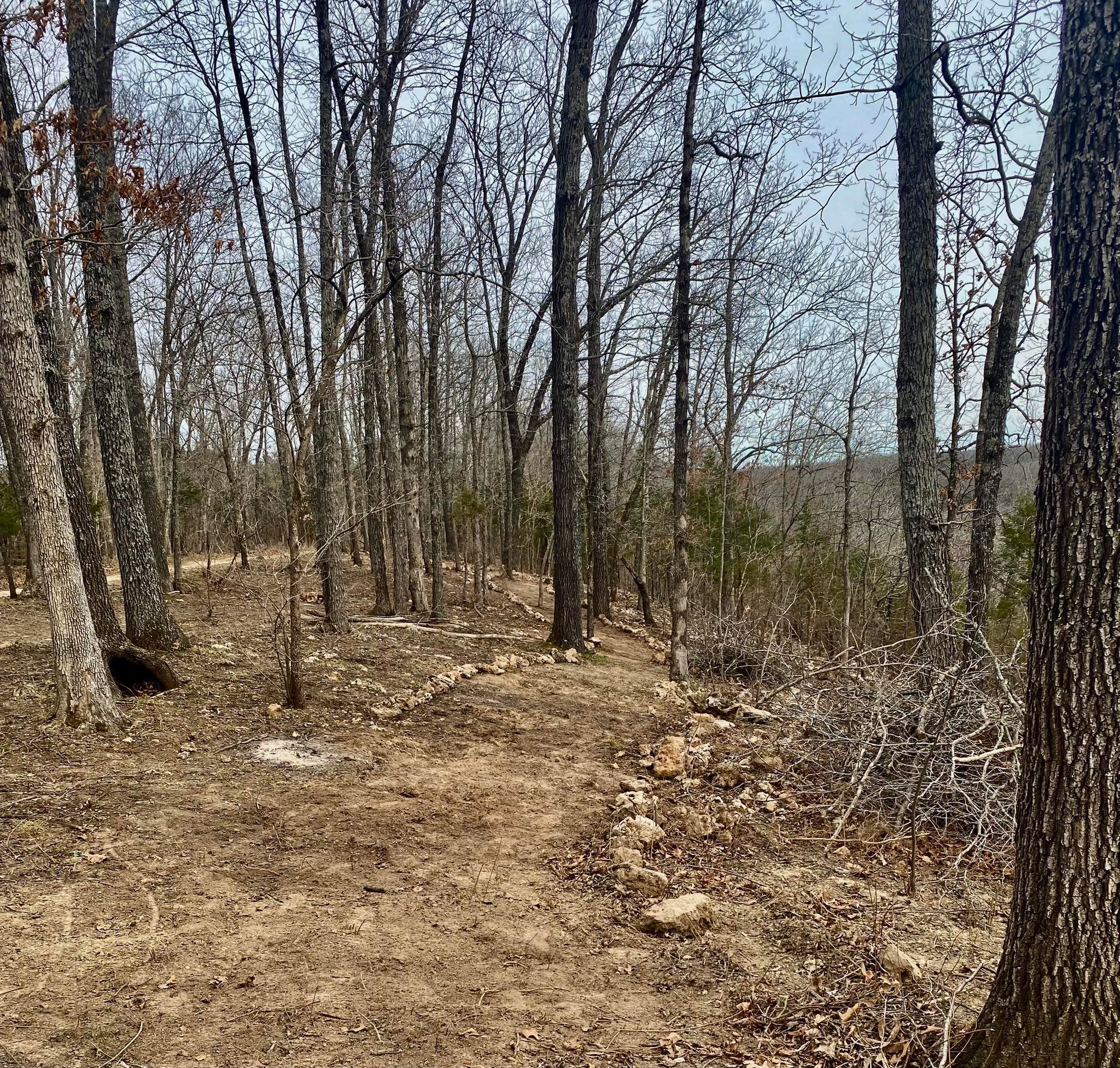 Hawks Bluff Farm Rocks... - Hawks Bluff Farm Rocks and Drusy