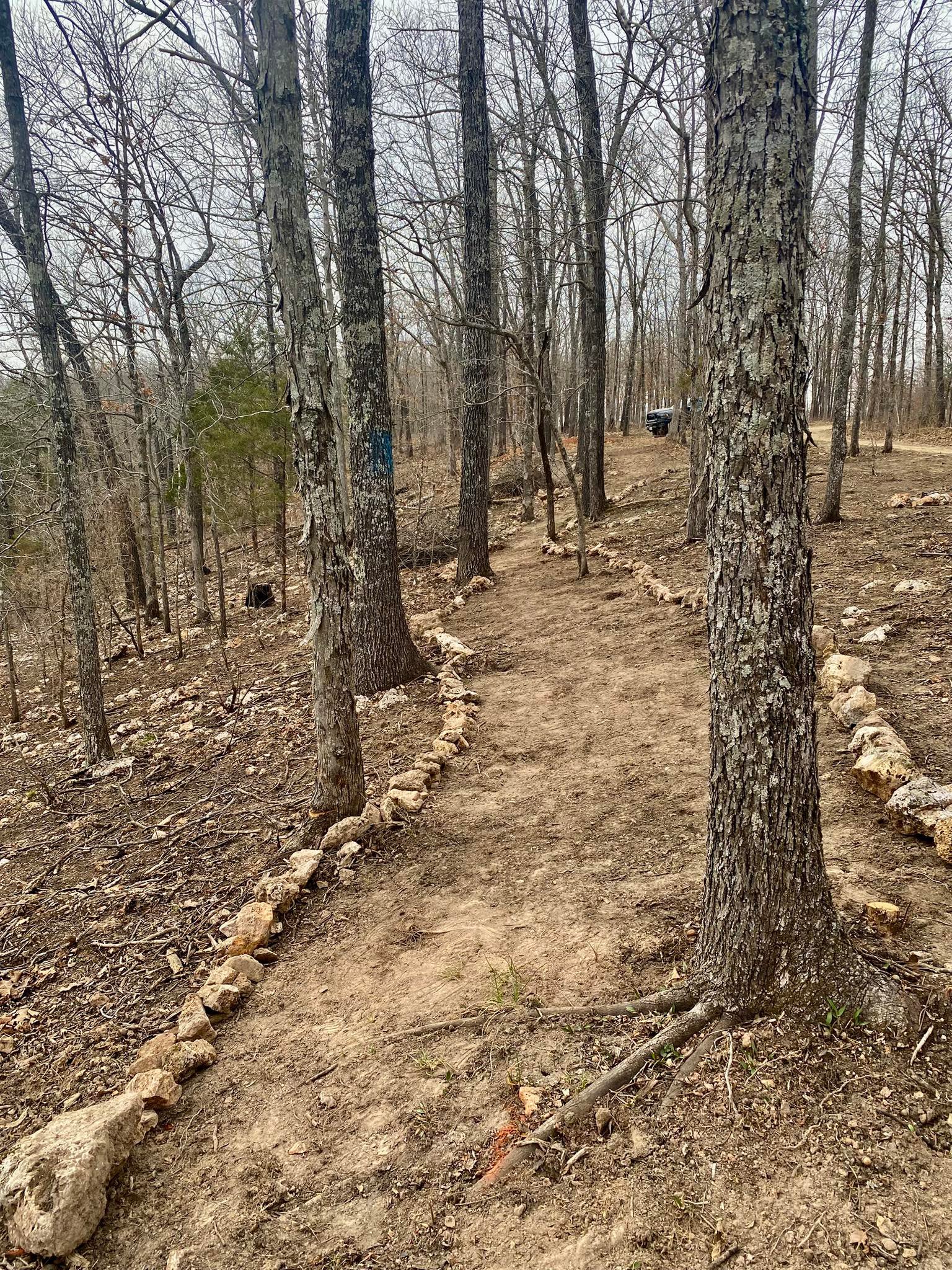 Hawks Bluff Farm Rocks... - Hawks Bluff Farm Rocks and Drusy