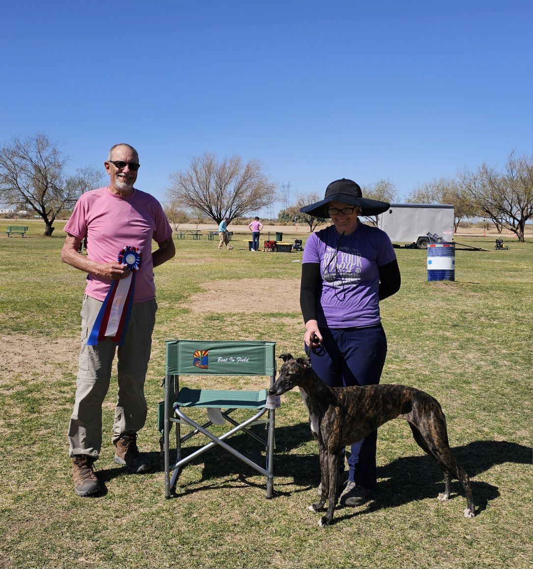 Arizona Rhodesian Ridgeback Club