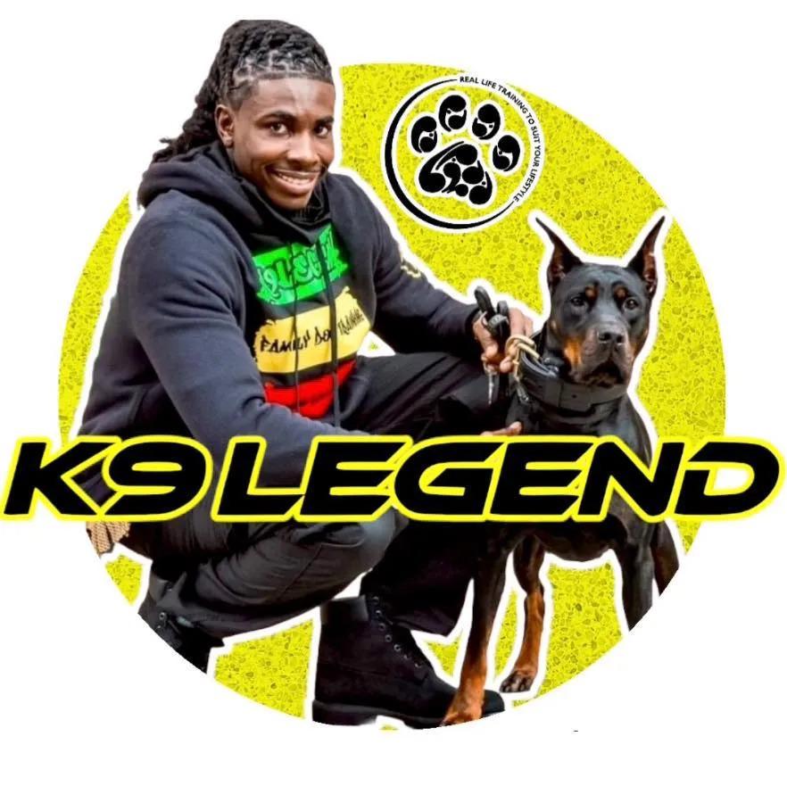Teaching a dog a skill is one thing. Building reliability in that skill ...