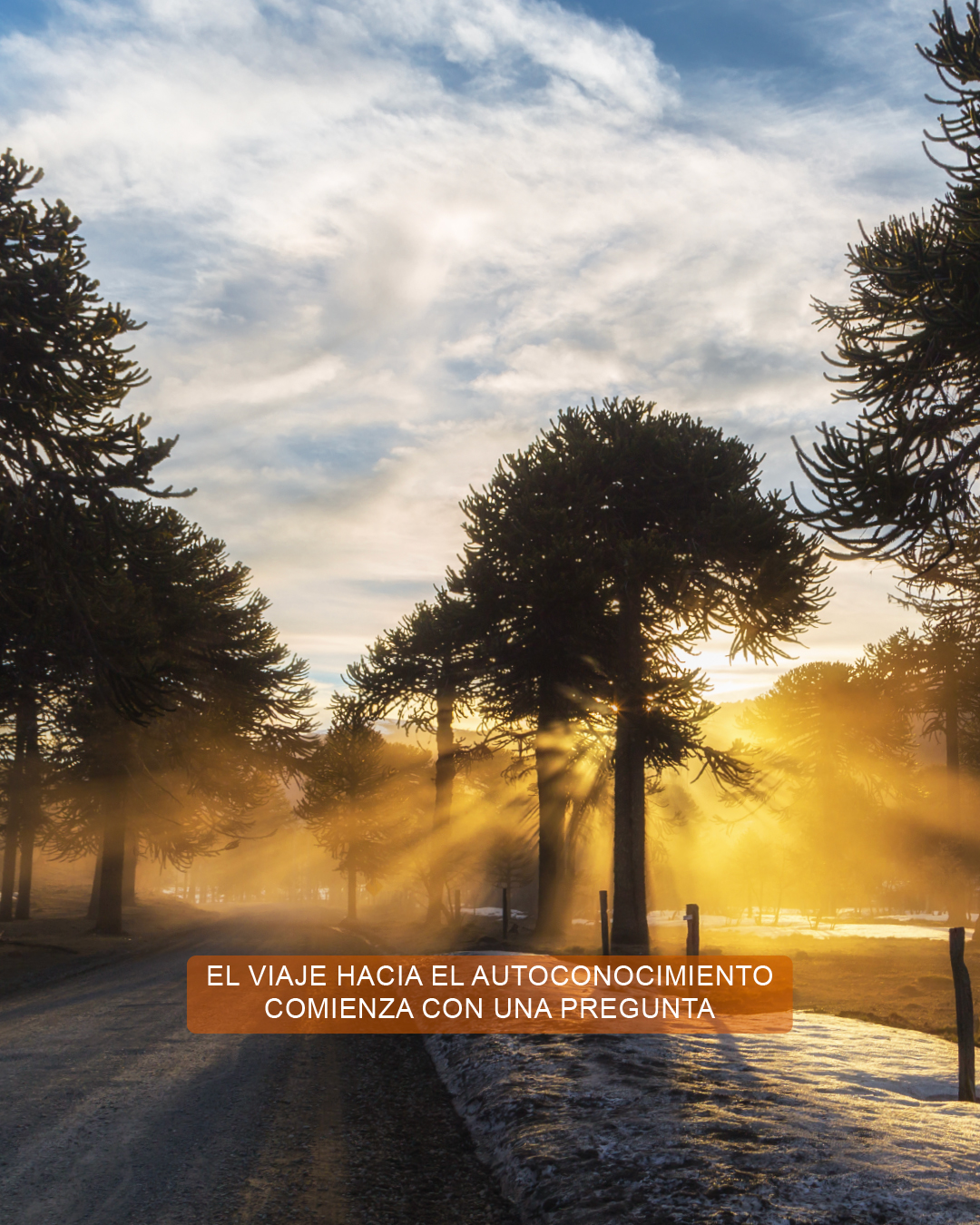 Ser Vida Consciente