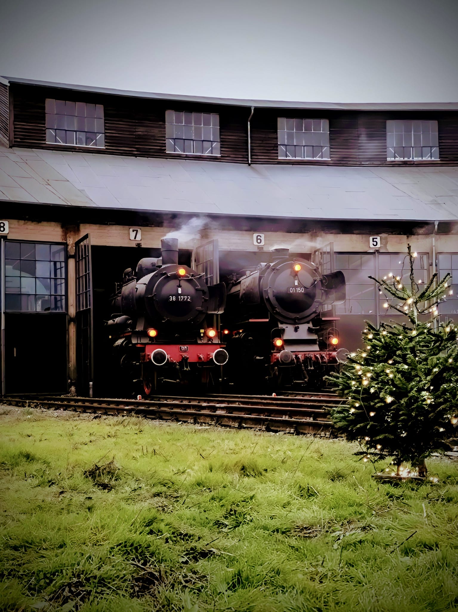571533_1