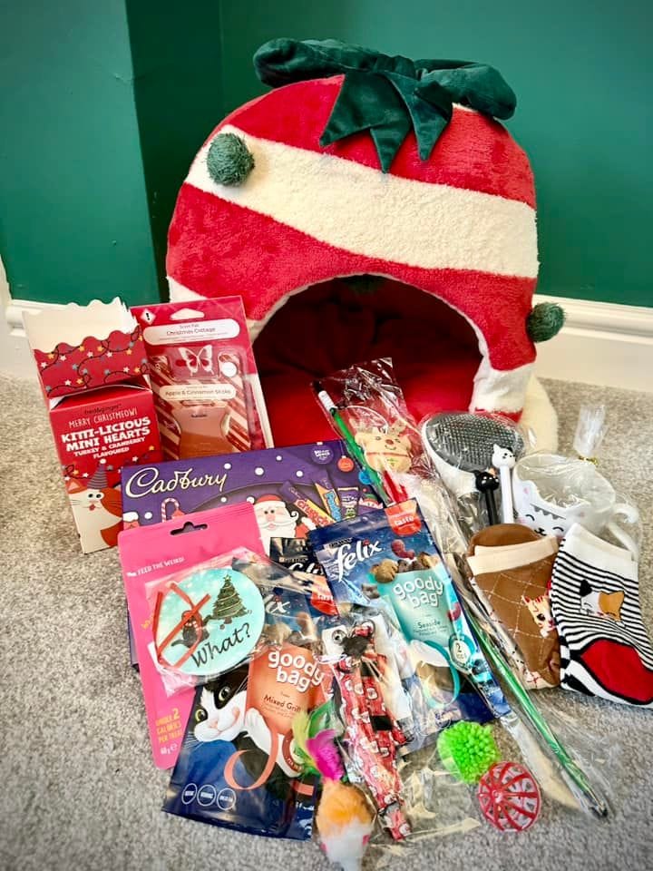 Noah's - Noah’s Ark Christmas Raffle! Let’s see how much money we can ...