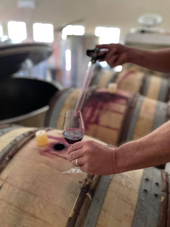 Domaine Jean-François Debourg | Saint-Germain-Nuelles