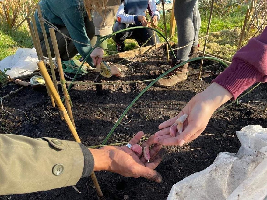 Project Rewild - Our Growing Communities project is coming... | Facebook