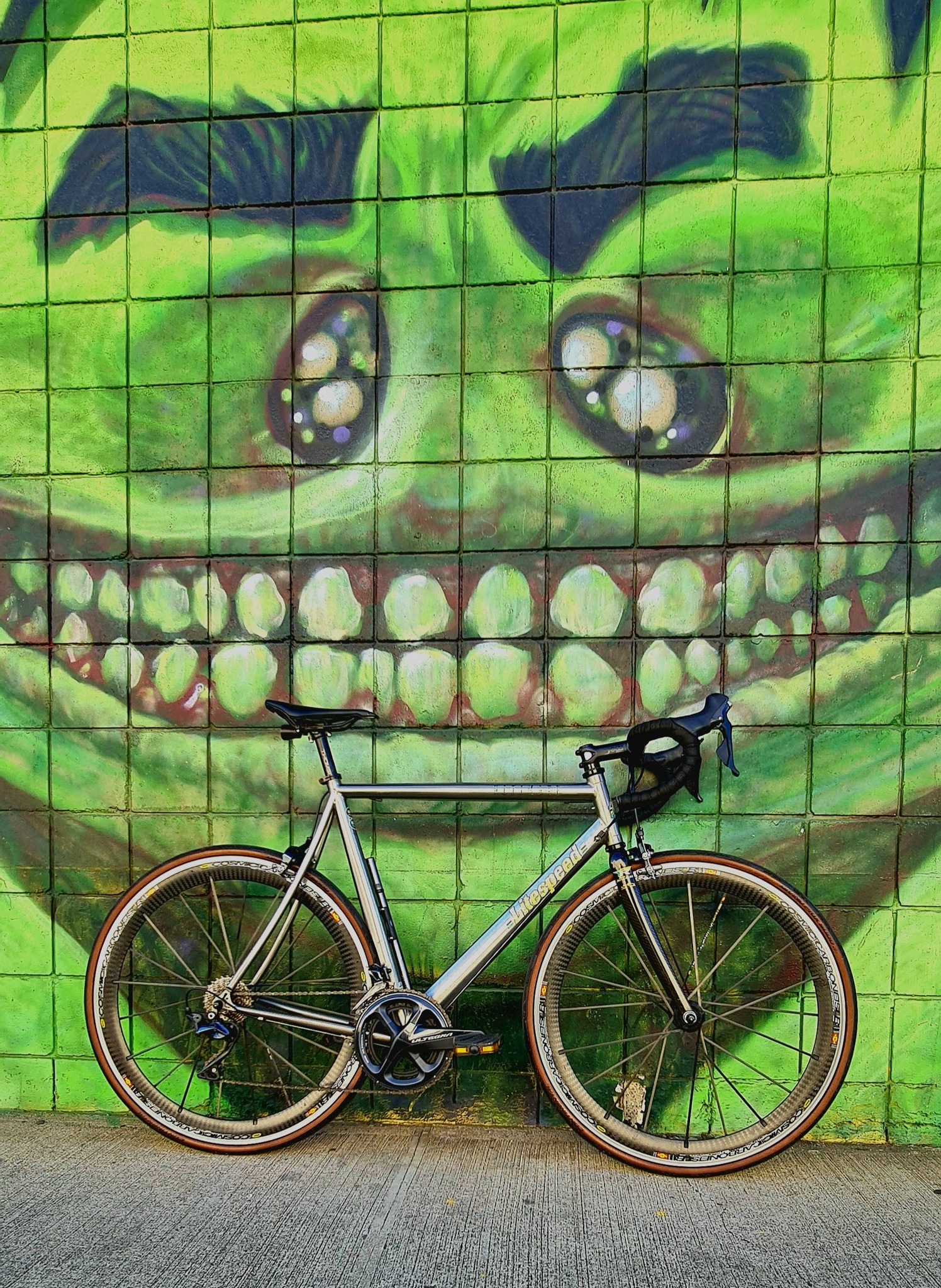 2005 Riese & Müller BD-1 BIRDY TITANIUM Ti bike discussion