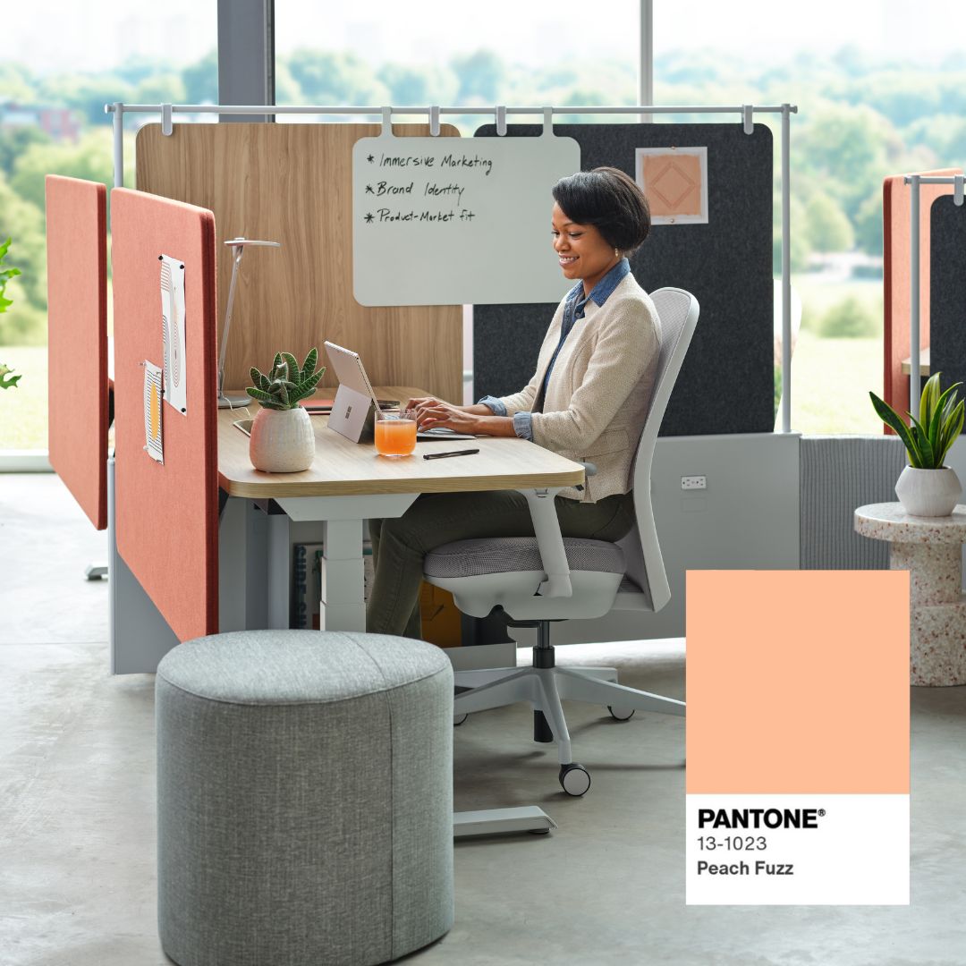 Compass - We’re loving the 2024 Pantone Color of the Year – Peach Fuzz ...