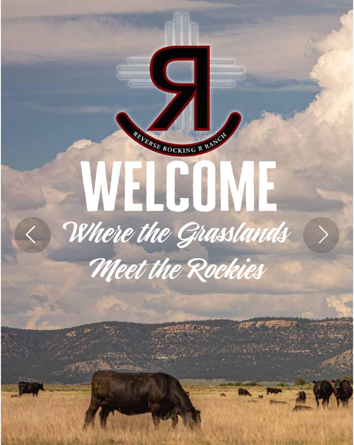 Our catalog is on-line. Go here... - Reverse Rocking R Ranch | Facebook